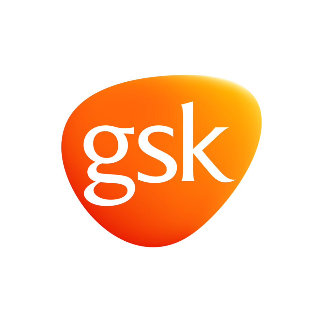 Partner Logo 3
