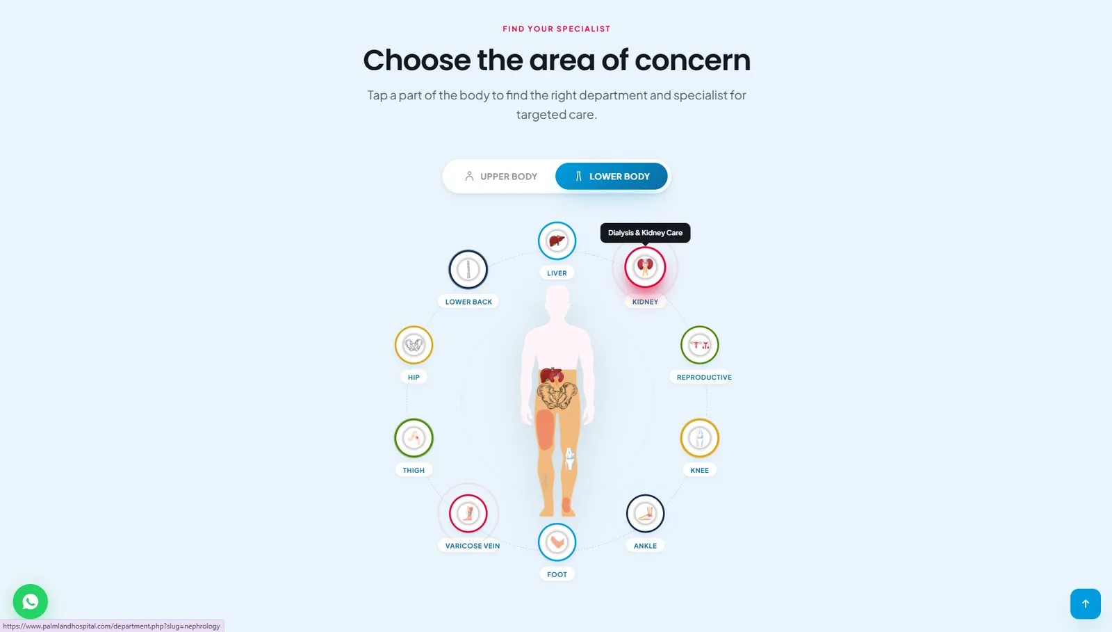 Palmland Hospital website: Body map, lower body