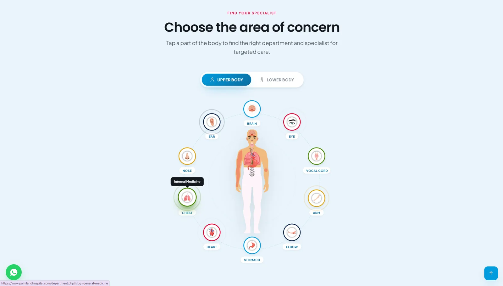 Interactive body map on the Palmland Hospital website, upper body view with chest pointing to Internal Medicine